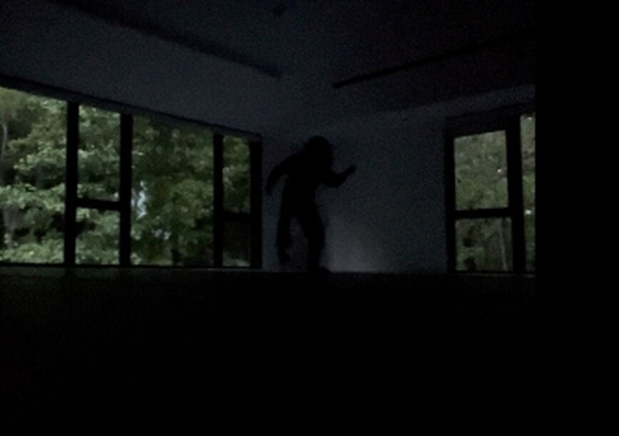 Image of a performer in a dark room from Stephanie Zaletel | szalt's 5 basic movements (vagus excerpt).