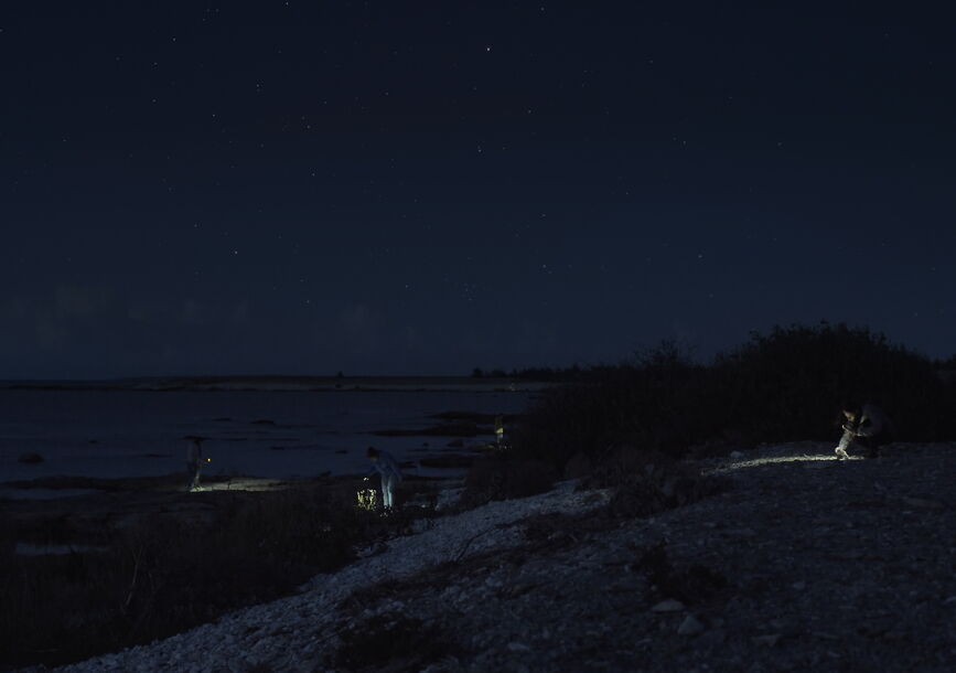 A woman stands on a cliff on a dark night with few lights.