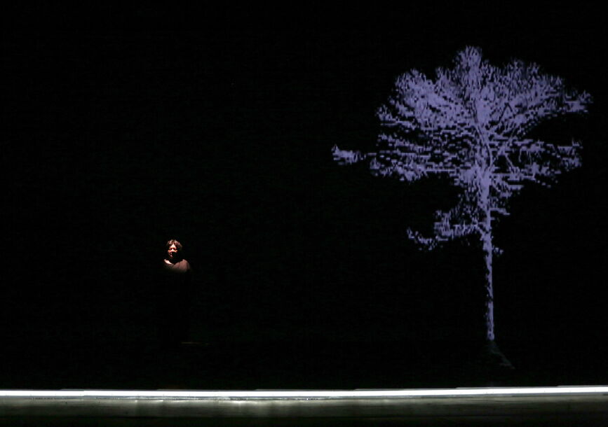 A person stands next to a tree image.