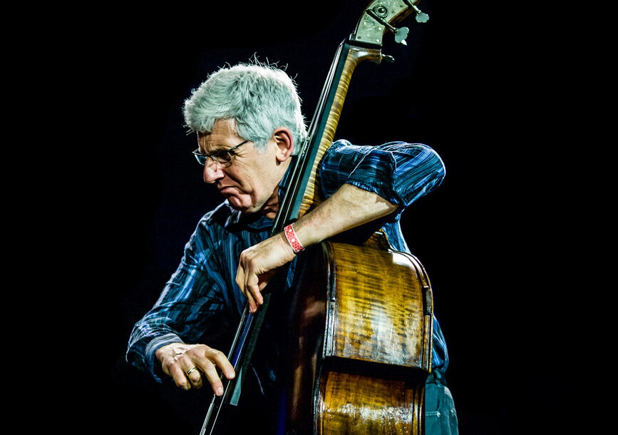 musician playing stand up bass