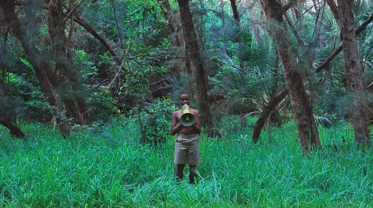 A person stands with a megaphone in the middle of a forest.