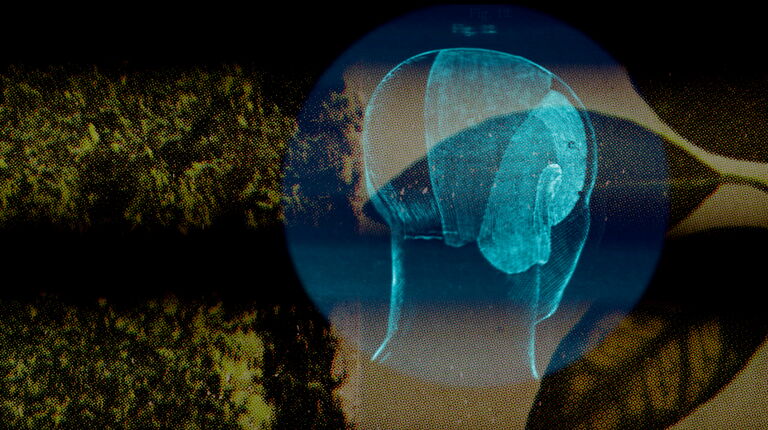 Unfolding Visions