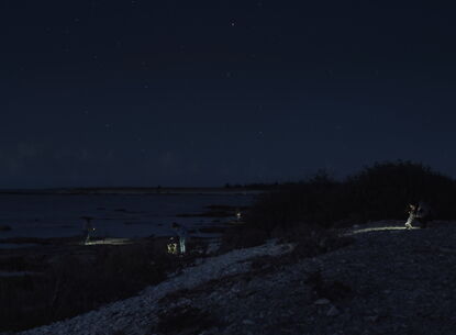 A woman stands on a cliff on a dark night with few lights.