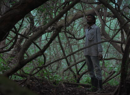 A person stands in the middle of tree branches.